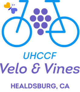 Velo and Vines bike logo